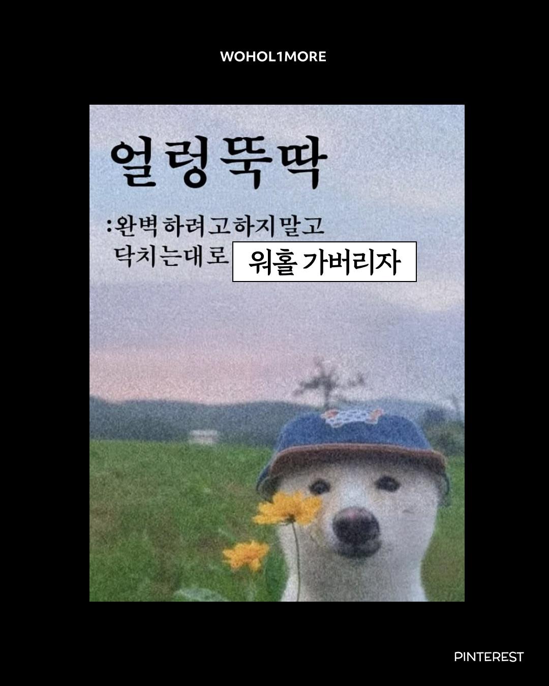 카드뉴스 2/10