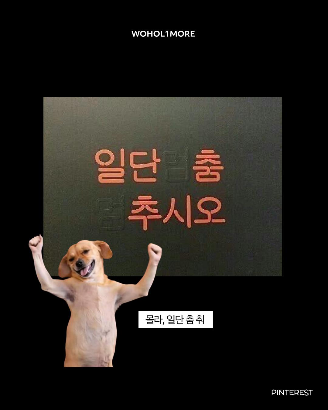 카드뉴스 9/10