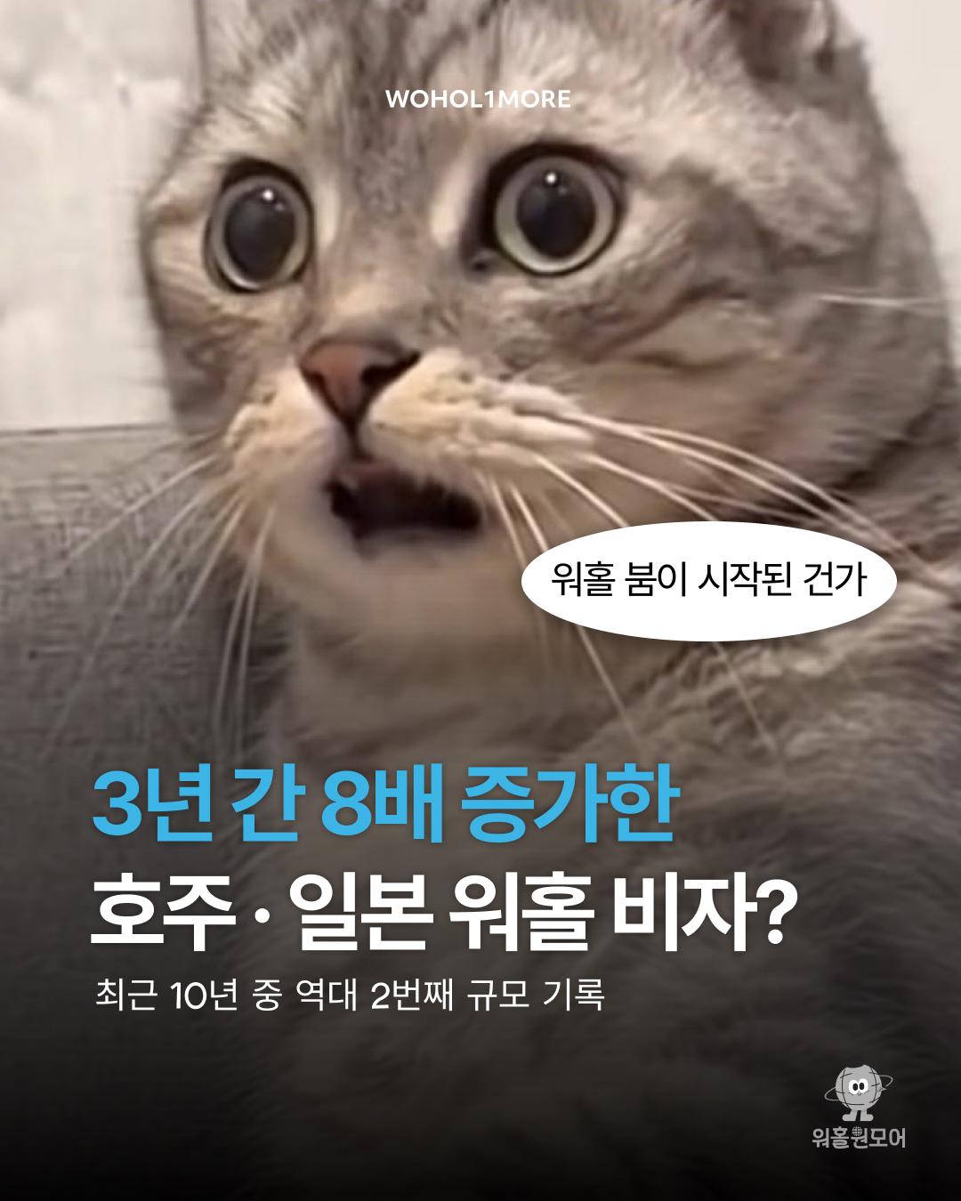 카드뉴스 1/6