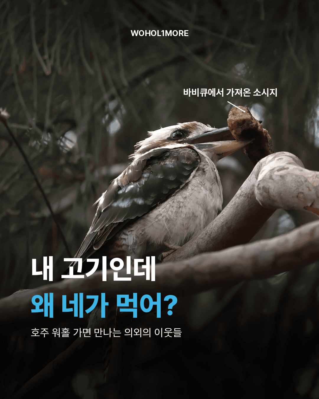 카드뉴스 1/6