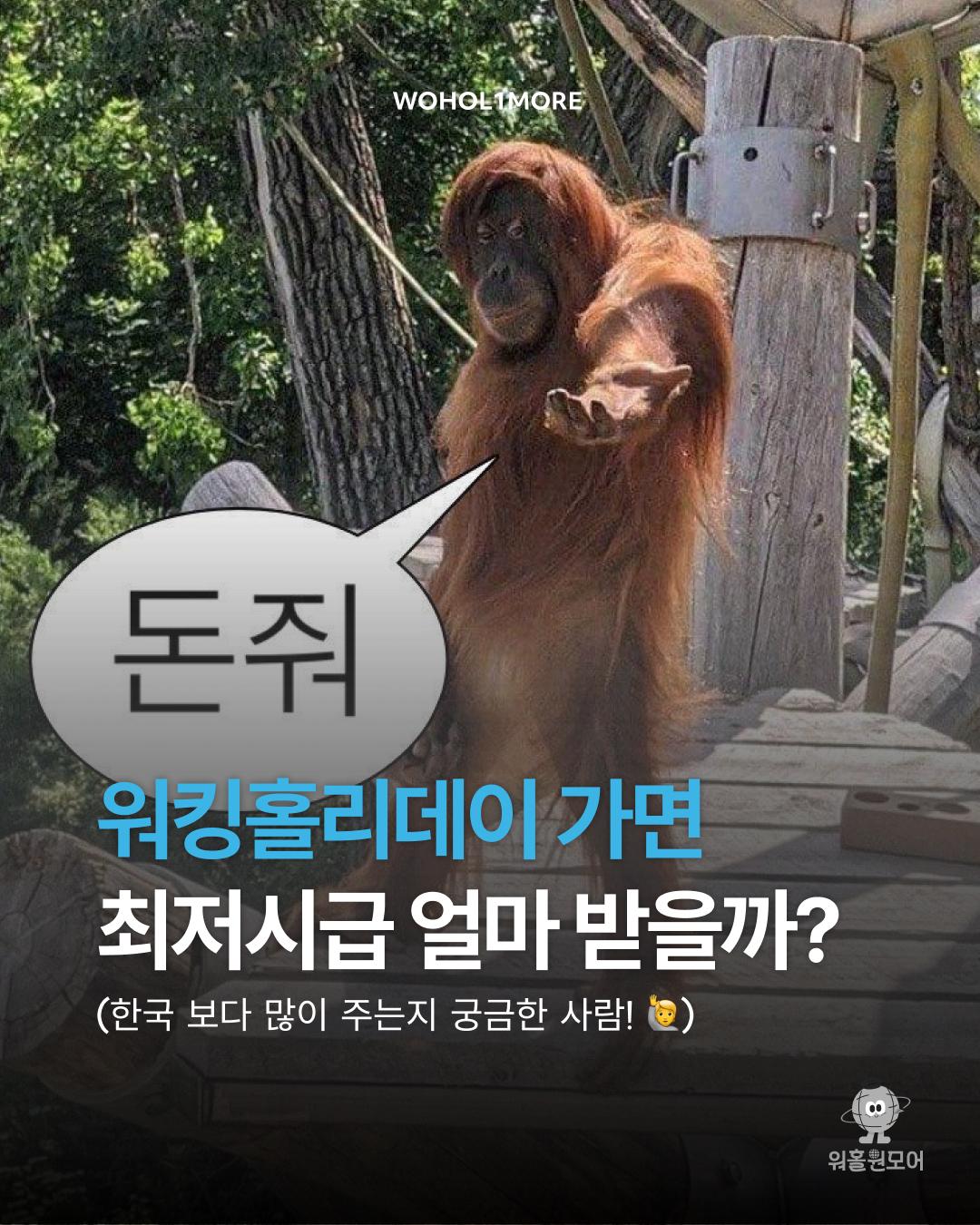 카드뉴스 1/3