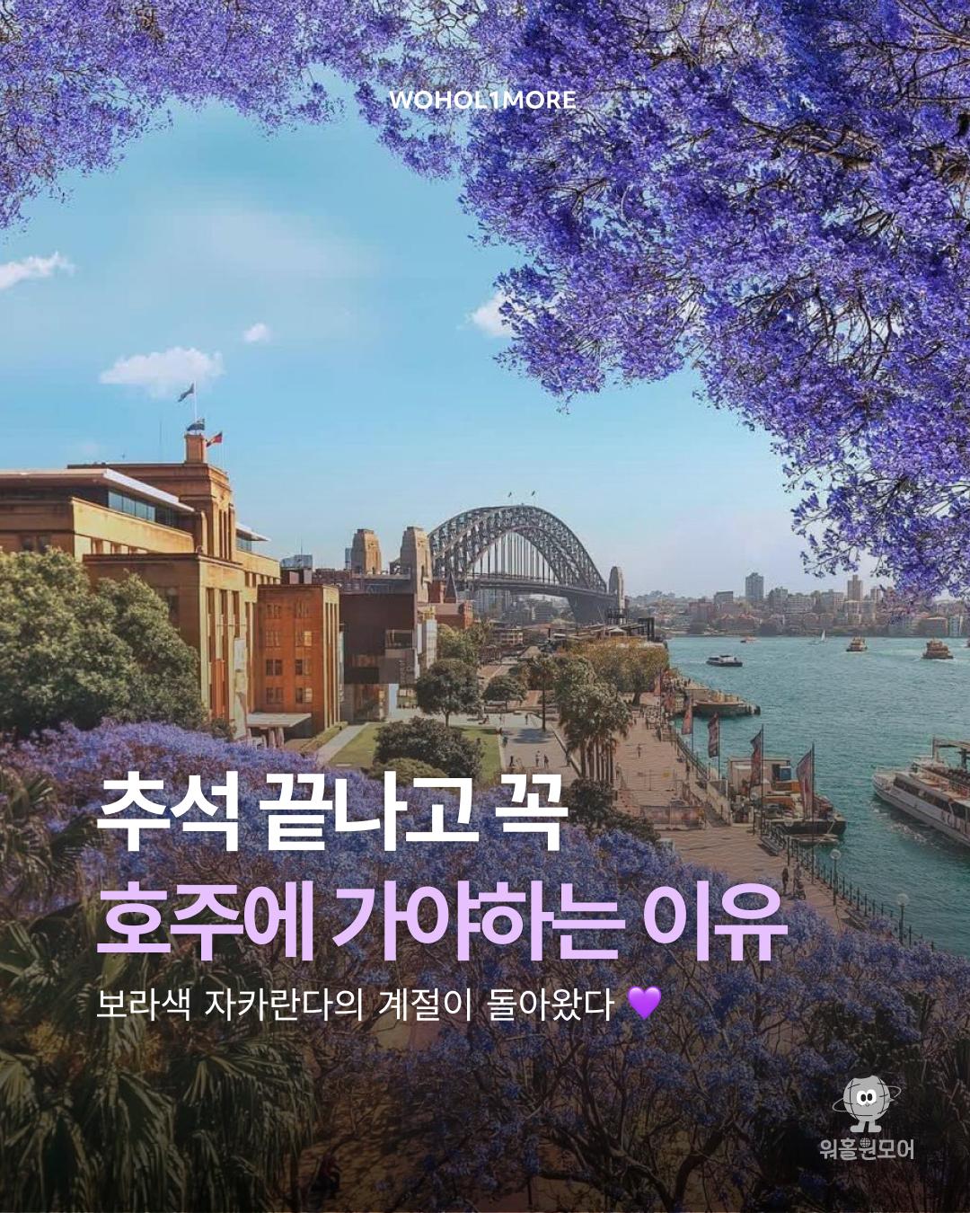 카드뉴스 1/7